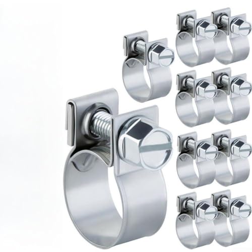 21) Mini-Klemmen aus Karbonstahl für Automobilanwendungen, 10 Stück, Kraftstoffleitung, Diesel, Benzin, Rohrschellen (12–14 mm) von Getdoublerich