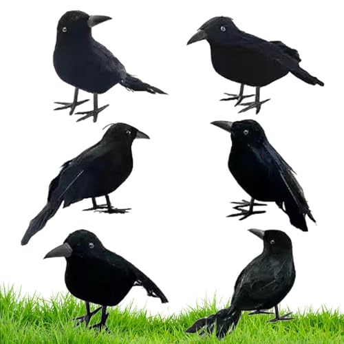 Halloween Schwarze Krähen | 6 Stück Mehrzweck-Raben mit echten Federn für gruseliges Halloween,Saisonale Dekorationen für Couchtisch, Baum, Gebüsch, Wände, Fensterbank, Kamin Halloween Schwarze Krähen | 6 Stück Mehrzweck-Raben mit echten Federn für gruseliges Halloween,Saisonale Dekorationen für Couchtisch, Baum, Gebüsch, Wände, Fensterbank, Kamin von Geteawily