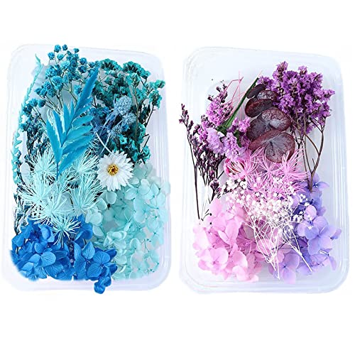Getrocknete Blumen Echt,2 Kisten Trockenblumen Set Natur,Trockenblumen für die Heimdekoration Und Handwerkliche Deko, Trockenblumen Klein für Epoxidharz Deko, Getrocknete Blumen für Handgemachte Waren Getrocknete Blumen Echt,2 Kisten Trockenblumen Set Natur,Trockenblumen für die Heimdekoration Und Handwerkliche Deko, Trockenblumen Klein für Epoxidharz Deko, Getrocknete Blumen für Handgemachte Waren von Gfamous