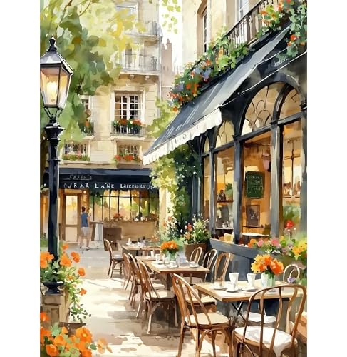 Giahism Straßenansicht Malen Nach Zahlen Erwachsene-Malen Nach Zahlen Landschaft,Diy Acrylfarbe Ölgemälde Kit für Anfänger,Paint by Numbers Adults Als Heimdekoration(40x50 cm) von Giahism