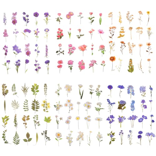 Giantree 240 Stück Blumen Scrapbooking Aufkleber, Wasserfeste Sticker Blumen Pflanzen Aufkleber Transparente Blumenaufkleber Selbstklebend Sticker Aesthetic Für Fotoalbum Laptop Giantree 240 Stück Blumen Scrapbooking Aufkleber, Wasserfeste Sticker Blumen Pflanzen Aufkleber Transparente Blumenaufkleber Selbstklebend Sticker Aesthetic Für Fotoalbum Laptop von Giantree
