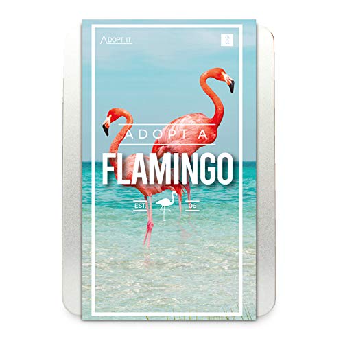 Adopt a Flamingo Geschenkbox von GR Gift Republic