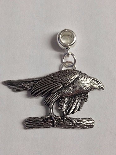 Y2 Hawk Charme mit 5 mm Loch passt auf Anhänger Charm Armband geschrieben von uns Geschenke für alle 2016 von Derbyshire UK Y2 Hawk Charme mit 5 mm Loch passt auf Anhänger Charm Armband geschrieben von uns Geschenke für alle 2016 von Derbyshire UK von Gifts For All