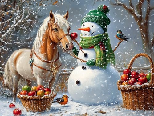 Ginfonr DIY Diamond Art Painting Zubehör Schneemann Set Full, 5D Diamant Painting Weihnachten Bilder Kit Crystal Rhinestone Embroidery Decoration Für Home Wall Décor 30x40 cm8186 von Ginfonr