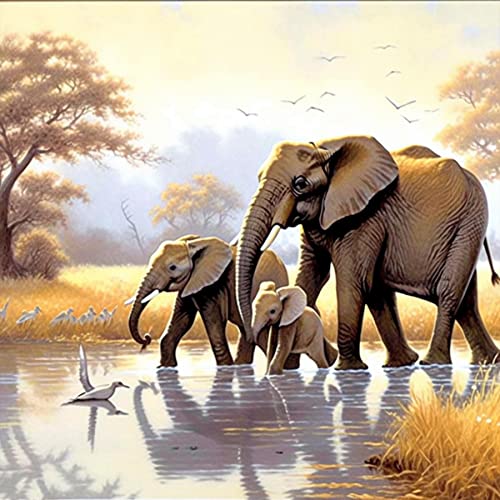 Ginfonr DIY Diamond Painting Zubehör Elefant Familie Set Full, 5D Diamant Painting Tiere Bilder Kit Crystal Rhinestone Embroidery Decoration Für Home Wall Décor 30x30 cm von Ginfonr