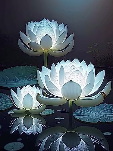 Ginfonr DIY Diamond Painting Zubehör Lotus Set Full, 5D Diamant Painting Blumen Bilder Kit Crystal Rhinestone Embroidery Decoration Für Home Wall Décor 30x40 cm von Ginfonr