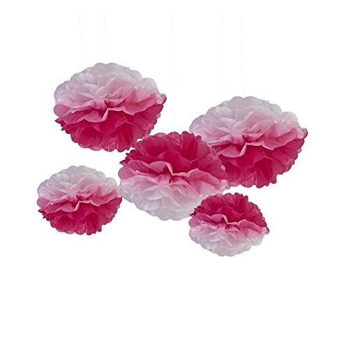 Ginger Ray Pink Ombre Tissue Paper Pick and Mix, Rose von Ginger Ray
