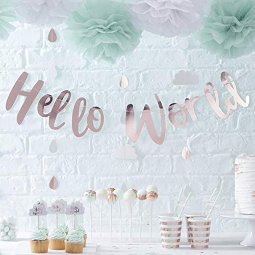 Ginger Ray Unisex-Wimpelkette mit Schriftzug "Hello World", Rotgold, für Babypartys von Ginger Ray