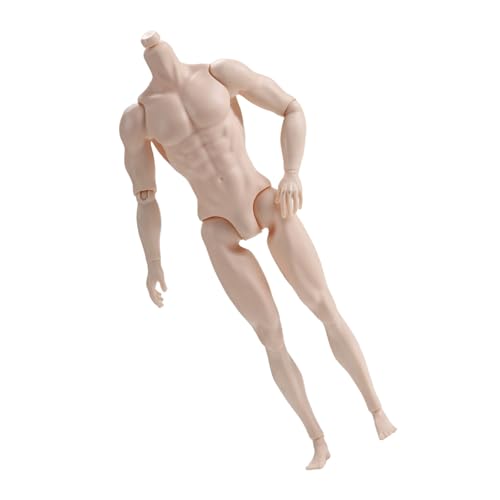 Gissroys Muskular 12 20 Zoll Männlicher Puppenkörper 13 Artikulierte Gelenke Realistische Männliche Körperfigur Für Aktion Display Kunstprojekt Hohe Flexibilität Für Die Tanzprobe von Gissroys