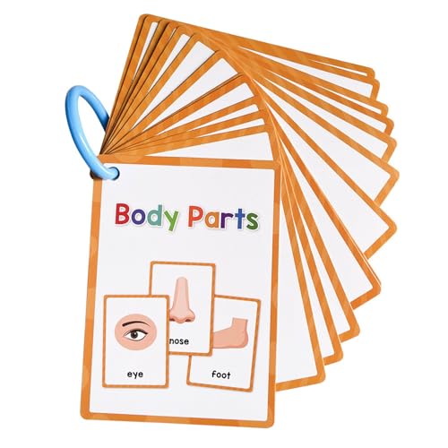 Interaktive Vokabular Karteikarten Kleinkind Early Learning Word Card 11cmx8cm Word Karteikarten Für Kindergartenlehrer Interaktive Englische Lernkarten von Gissroys