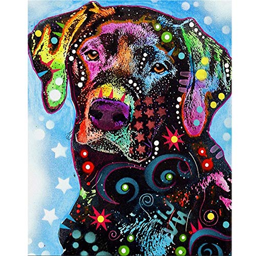 5D Diamond Painting Full Set, Labrador Hund DIY Diamant Painting Bilder, Diamant Malen Kits, Groß 5D Diamant Malerei Kreuzstich Diamond Dekoration für Wand Dekorationen, Round Drill 30x40cm 5D Diamond Painting Full Set, Labrador Hund DIY Diamant Painting Bilder, Diamant Malen Kits, Groß 5D Diamant Malerei Kreuzstich Diamond Dekoration für Wand Dekorationen, Round Drill 30x40cm von Giyuco