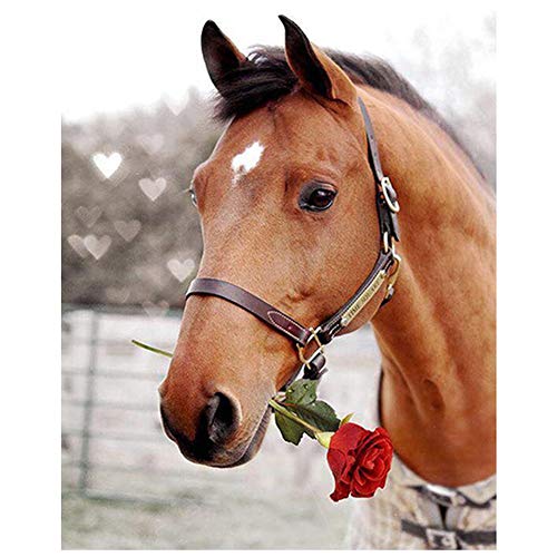 Giyuco DIY 5D Diamant Malerei Kits, Pferd Rose Diamond 5D Paintings Set, Malen nach Zahlen Diamant, Groß Diamant Painting Bilder Arts Craft für Home Wand-Decor Square Drill 30x40cm von Giyuco