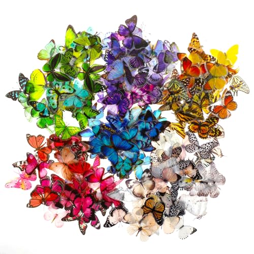 Gjinxi 240 Stück Schmetterling Aufkleber, Bunt Schmetterling Sticker PET Wasserdicht Dekorativ Vinyl Deko Fahrradaufklebe für Motorrad Roller Skateboard Laptop Wohnwagen DIY Basteln Scrapbook Sticker Gjinxi 240 Stück Schmetterling Aufkleber, Bunt Schmetterling Sticker PET Wasserdicht Dekorativ Vinyl Deko Fahrradaufklebe für Motorrad Roller Skateboard Laptop Wohnwagen DIY Basteln Scrapbook Sticker von Gjinxi