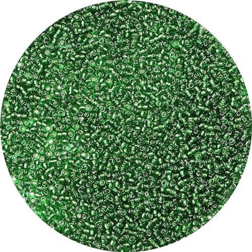 2mm Perlen für Armbänder, 12500 Stück Kleine Perlen zum Auffädeln 12/0 Rocailles Perlen Armbandperlen Craft Perlen für Schmuck DIY Handgemachtes Zubehör von Gkelaly