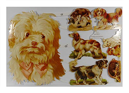 Glanzbilder EF 7070 Hund Hundekorb Baby Welpe Posiebilder Deko 701 Glanzbilder EF 7070 Hund Hundekorb Baby Welpe Posiebilder Deko 701 von Glanzbilder