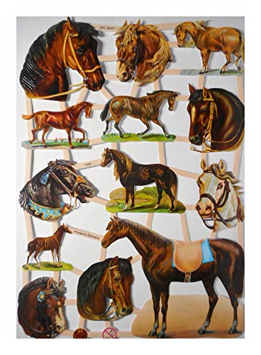 Glanzbilder EF 7302 Pferd Pferde Horse braun schwarz weiß Posiebilder Deko 839 Glanzbilder EF 7302 Pferd Pferde Horse braun schwarz weiß Posiebilder Deko 839 von Glanzbilder