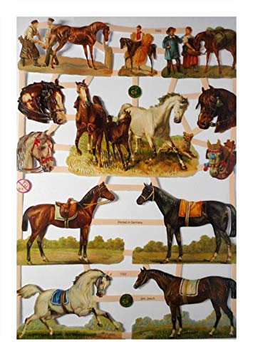 Glanzbilder EF 7322 Pferd Pferde Horse braun schwarz weiß Posiebilder Deko 838 Glanzbilder EF 7322 Pferd Pferde Horse braun schwarz weiß Posiebilder Deko 838 von Glanzbilder