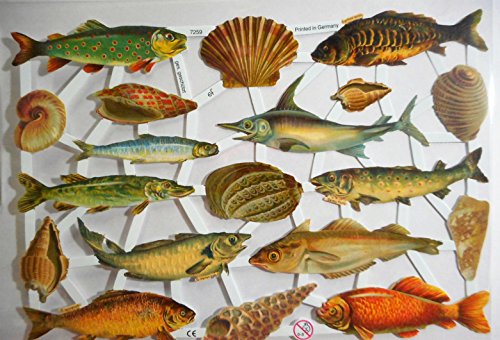 Glanzbilder Fisch Muschel EF 7259 Oblate Posiebilder Scrapbook Deko GWI 549 von Glanzbilder