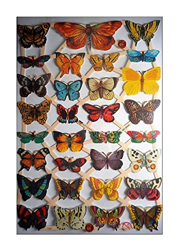 Glanzbilder Schmetterling EF 7336 Oblate Posiebilder Scrapbook Deko GWI 414 Glanzbilder Schmetterling EF 7336 Oblate Posiebilder Scrapbook Deko GWI 414 von Glanzbilder