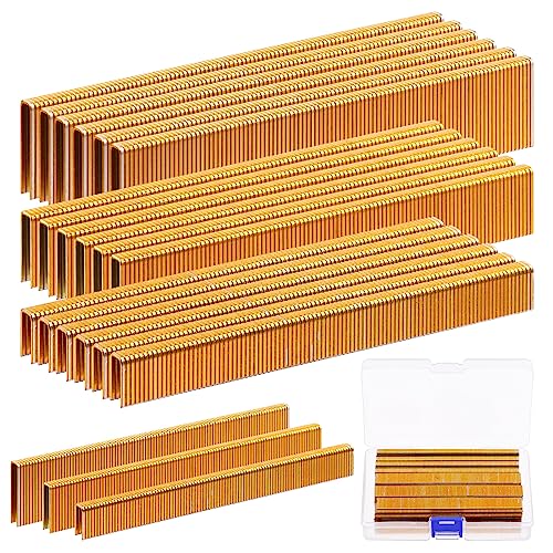 Glarks 2800pcs 18 Gauge schmale Kronenstapel, 3 Größen 1/2", 3/4", 1" verzinkte Kronenstapel Sortiment Kit für elektrische Hefter, pneumatische, DIY Heimwerkerung (Gold) von Glarks
