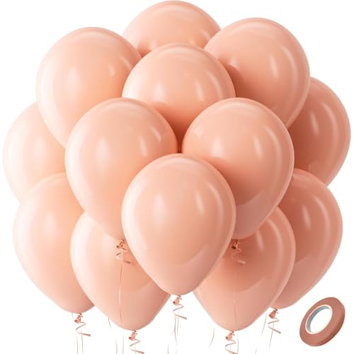 Gleemix 20 Stück Macaron Luftballons Orange, 10 Zoll Latexballons Orangen Girlande, Ballons Orange Helium für Geburtstag Hochzeit Verlobung Jubiläum Festival Picknick Abschluss Luftballon Kommunion Gleemix 20 Stück Macaron Luftballons Orange, 10 Zoll Latexballons Orangen Girlande, Ballons Orange Helium für Geburtstag Hochzeit Verlobung Jubiläum Festival Picknick Abschluss Luftballon Kommunion von Gleemix