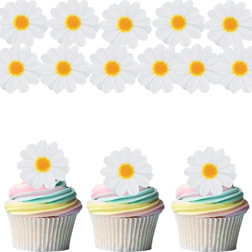 Gleevio Gänseblümchen Tortendeko Blumen Essbar, 40 Stück Essbare Blüten Tortendeko Hochzeit, Esspapier Blumen Deko Torte Essbar, Gänseblümchen Kuchen Deko Geburtstag, Blüten Muffin Deko 4,2cm Gleevio Gänseblümchen Tortendeko Blumen Essbar, 40 Stück Essbare Blüten Tortendeko Hochzeit, Esspapier Blumen Deko Torte Essbar, Gänseblümchen Kuchen Deko Geburtstag, Blüten Muffin Deko 4,2cm von Gleevio