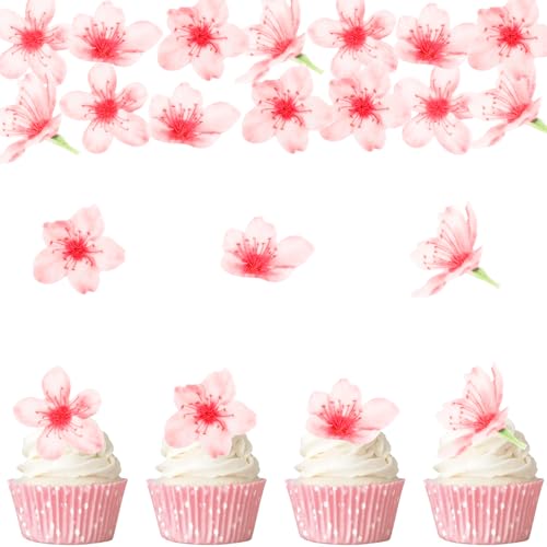 Gleevio Rosa Blumen Tortendeko Essbar,40 Stück Essbare Blumen für Torte, Essbare Blüten Tortendeko, Esspapier Kirschblüte Kuchen Deko, Kirschblüte Cupcake Deko Essbar für Hochzeit, Geburtstag, Mädchen Gleevio Rosa Blumen Tortendeko Essbar,40 Stück Essbare Blumen für Torte, Essbare Blüten Tortendeko, Esspapier Kirschblüte Kuchen Deko, Kirschblüte Cupcake Deko Essbar für Hochzeit, Geburtstag, Mädchen von Gleevio
