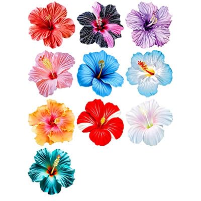 Gleevio Tortendeko Geburtstag (Hibiskus) von Gleevio