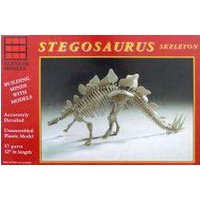Stegosaurus Skelett von Glencoe Models