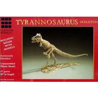 Tyrannosaurus Skelett von Glencoe Models