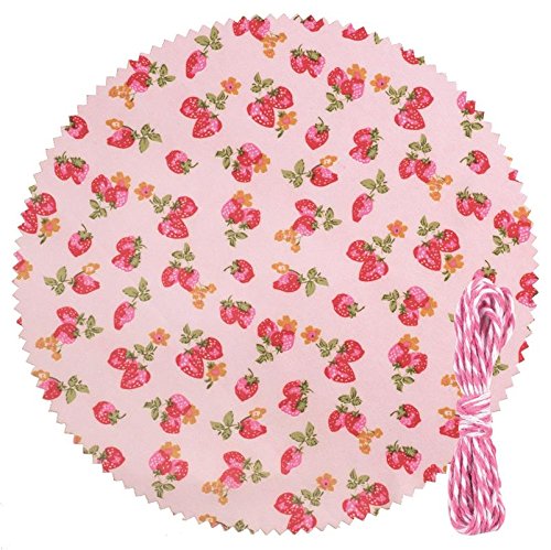 GLOREX Einmachglas-Deco-Set, Polyester, Rosa, 24 x 0.5 x 12 cm von GLOREX