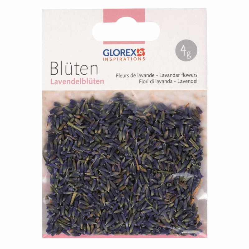 Lavendelblüten Lavendelblüten von Glorex