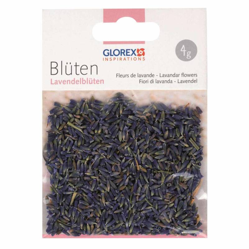 Glorex Lavendelblüten Glorex Lavendelblüten von Glorex