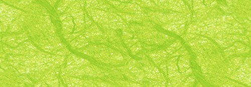 Strohseide 50 x 70 cm hellgrün Rl. a´ 5 ´Bogen von Glorex