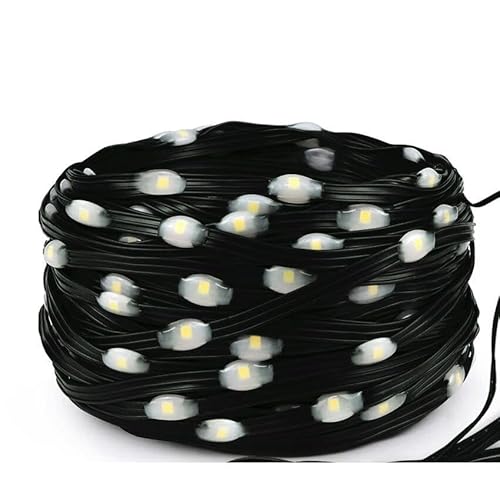 Glowster LED-Lichterkette, batteriebetrieben, 3 AA, 5 m, PVC und Kupfer, kaltweißes Licht, ideal für Dekorationen und gemütliche Umgebungen. von Glowster