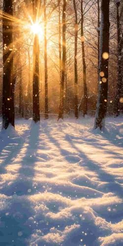 Diamond Painting Erwachsene Groß xxL, 5D DIY Diamant Painting Bilder für Kinder Anfänger, Runde Full Drill Winter Wald, Mosaikherstellung Bastelset für Haus Wanddekoration Geschenk 100x200cm o-178 Diamond Painting Erwachsene Groß xxL, 5D DIY Diamant Painting Bilder für Kinder Anfänger, Runde Full Drill Winter Wald, Mosaikherstellung Bastelset für Haus Wanddekoration Geschenk 100x200cm o-178 von Glslmznq