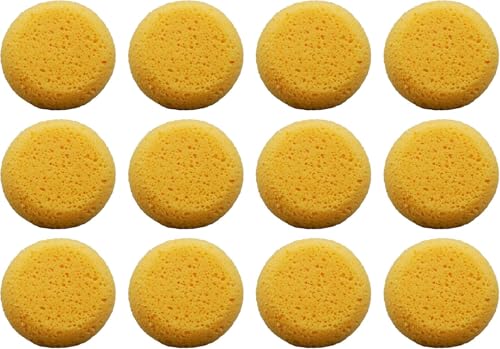 Glveaoui 12 Stück synthetische Schwämme – 6,4 cm runder Bastelschwamm für Lederpflege, Pferdezaumzeug Wartung und vielseitiges Basteln von Glveaoui