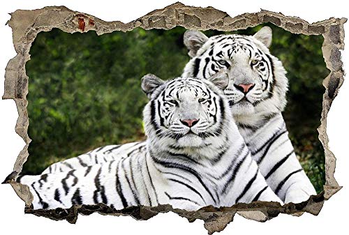 3D Wandtattoo Loch in der Wand des weißen Tigers Bild selbstklebend Wandbild sticker Wohnzimmer Wand Aufkleber, Wandbild Größe 50x70cm von Gnailur