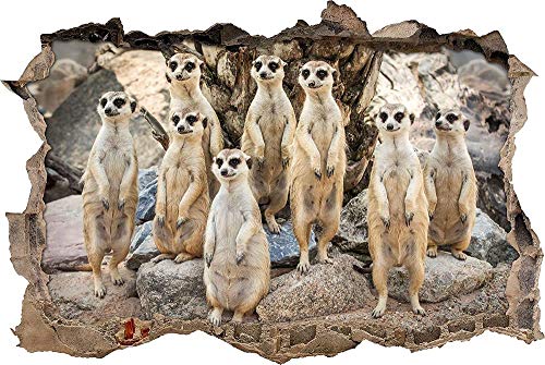 Wandtattoo Aufkleber Wall Art Wandbild lustige Erdmännchen Mauerloch 3D Effekt Deko Wohnung Wohnzimmer Schlafzimmer Bad Kinderzimmer selbstklebend 80x120cm von Gnailur