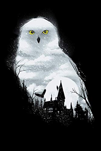 Gobelin Weiße Eule in der Nacht – (MG-216) (30x40 cm) Stickbild Stickpackung Halber Kreuzstich von Gobelin