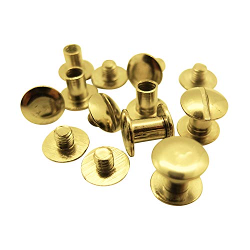 10 Stück - Buchschrauben - verschiedene Farben - Stahl/Edelstahl - Chicago-Schrauben - Schraubnieten - Gürtelschrauben (Stahl (vermessingt/gold), 10 mm) von Gobrecht & Ulrich
