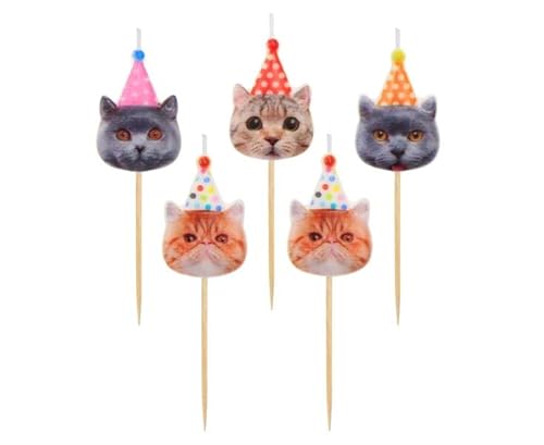 Katzen Party 5 Kerzen Geburtstag von Godan