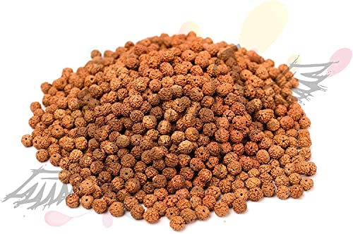 godblessmart-lot von 1000 Rudraksh Samen lose Perlen, Rudraksha Perlen, 8 mm godblessmart-lot von 1000 Rudraksh Samen lose Perlen, Rudraksha Perlen, 8 mm von Godblessmart