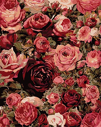 Gofission Malen nach Zahlen für Erwachsene Kinder Wunderschönen rot Rosa Blumen DIY Ölgemälde 40x50 cm Paint by Numbers (Flowers 1, Rahmenlos) von Gofission