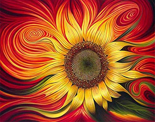Gofission Malen nach Zahlen für Erwachsene Kinder rot Sonnenblume Blume DIY Ölgemälde 40x50 cm Paint by Numbers von Gofission