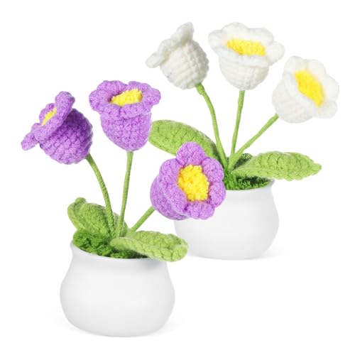 Gogogmee 2Stücke Handgefertigte Häkelblumen Dekoration für Auto und Schreibtisch Simuliertes Blumendekor Lila und Weiß für Zuhause und Büro Raffinierte Handwerkskunst Gogogmee 2Stücke Handgefertigte Häkelblumen Dekoration für Auto und Schreibtisch Simuliertes Blumendekor Lila und Weiß für Zuhause und Büro Raffinierte Handwerkskunst von Gogogmee