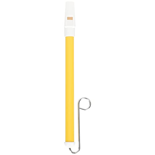 Gogogmee Slide Whistle Lernspielzeug Professionelles Musikinstrument mit Metalldorn Leicht und Tragbar für Kreative und Musikalische Frühförderung von Gogogmee