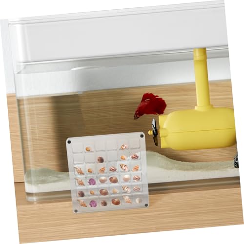 Gogogmee Transparentes Acryl Muschel Aufbewahrungsbox Fächer Mini Display Vitrine für Sammler Schmuck Steine Organizer Kompakt Robust Kratzfest von Gogogmee