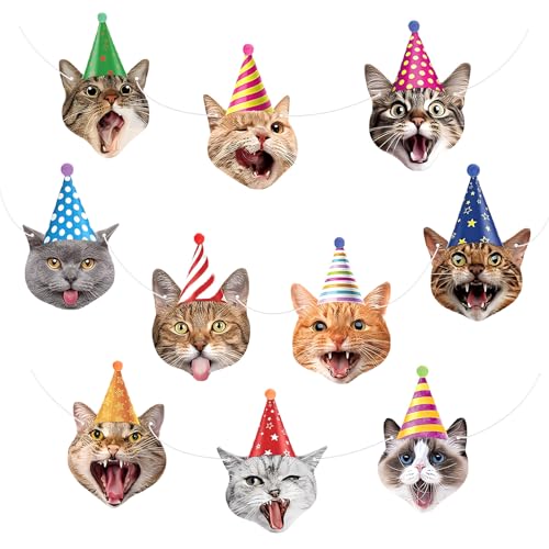 Goiern Katze Geburtstagsbanner Katzen Geburtstagsparty Dekorationen Katzengesichter Geburtstagsbanner Katzen Dekorationen Banner Kranz für Kinder Mädchen Frauen Katzen Goiern Katze Geburtstagsbanner Katzen Geburtstagsparty Dekorationen Katzengesichter Geburtstagsbanner Katzen Dekorationen Banner Kranz für Kinder Mädchen Frauen Katzen von Goiern