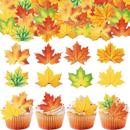 GoldRock 48 Stück Herbst Tortendeko Essbar, 8 Typen Ahornblätter Esspapier Tortendeko,Essbare Herbstdeko Kuchen,Thanksgiving Herbst Cupcake Topper,Ahornblatt Muffin Dekoration für Erntedankfest Herbst von GoldRock